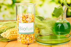 Sampford Spiney biofuel availability